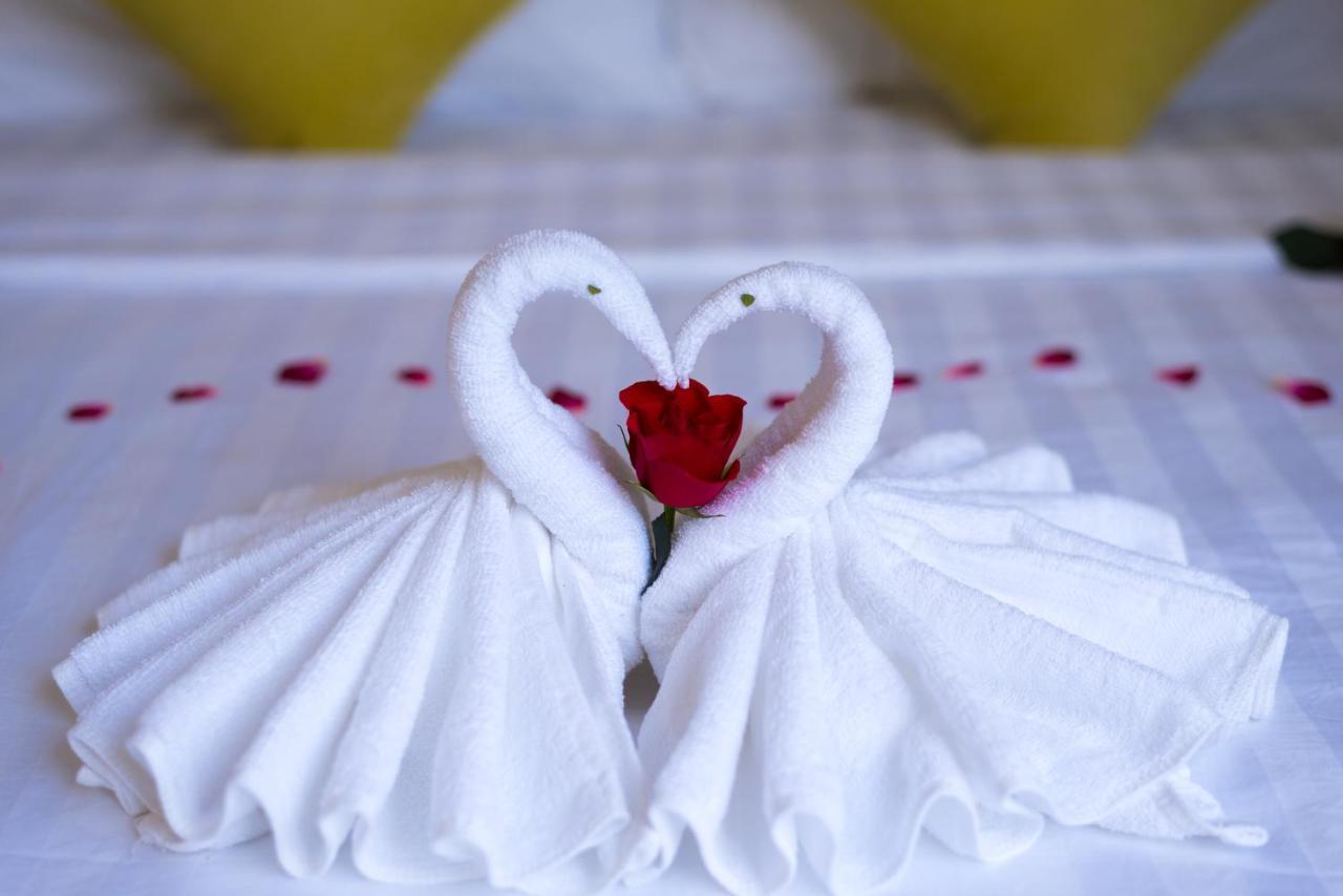 Lavila Homestay Hoi An Dış mekan fotoğraf
